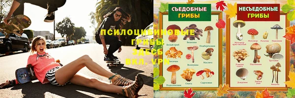 PSILOCYBIN Богородицк